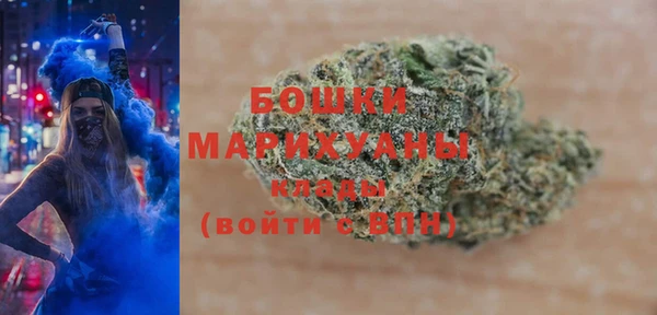 индика Новодвинск