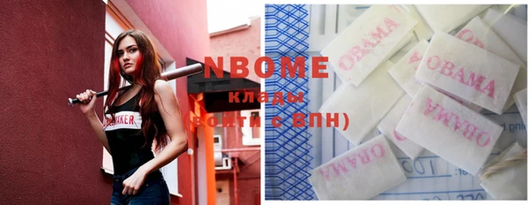 индика Новодвинск