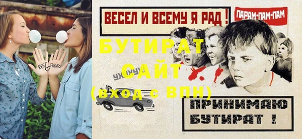 индика Новодвинск