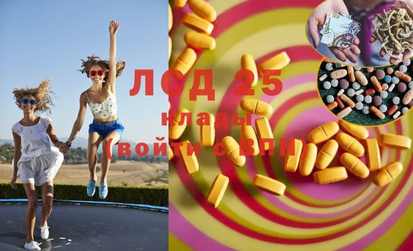 стафф Новозыбков