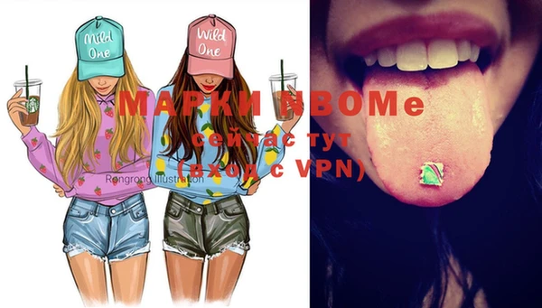 индика Новодвинск