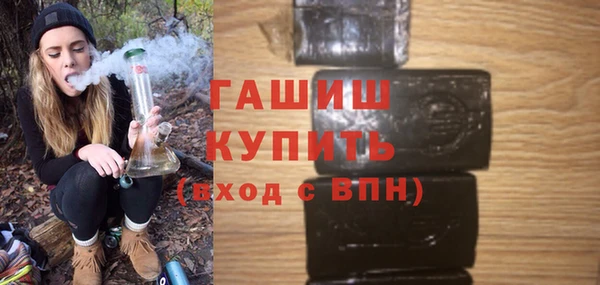 стафф Новозыбков