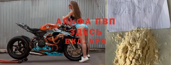 индика Новодвинск