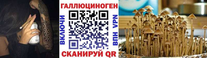 Галлюциногенные грибы GOLDEN TEACHER Купить закладки Набережные Челны
